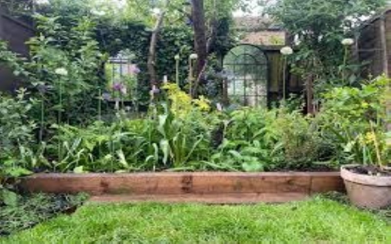 Hayati Pro Ultra: The Green Herb That Never Disappoints Hayati Pro Ultra