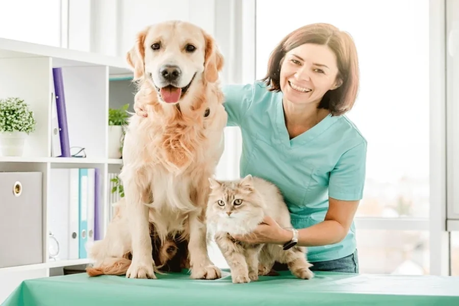 How Vets Partner With Specialists For Complete Pet Care Pet Care